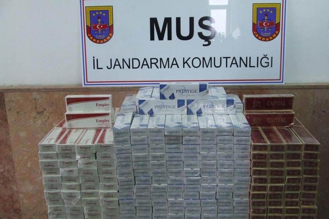Muş Malazgirt ve Varto'da 4 bin 500 paket kaçak sigara ele geçirildi