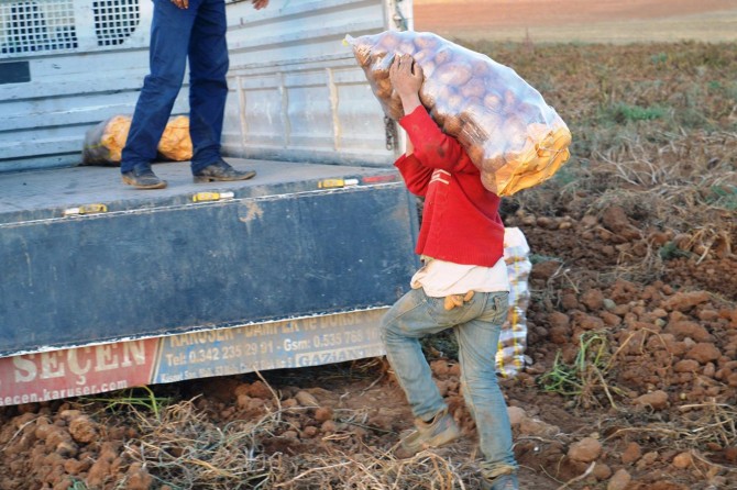 Biz de yaşıtlarımız gibi okula gitmek istiyoruz