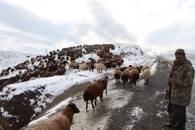 Göçerlerin karla zorlu imtihanı