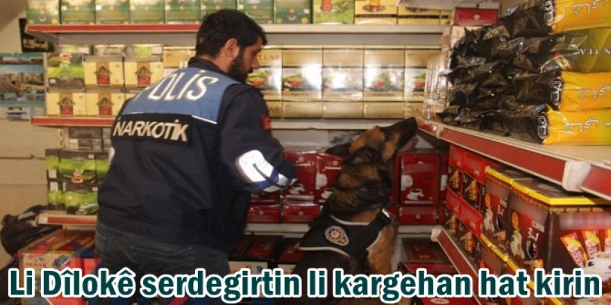 Li Dîlokê serdegirtin li kargehan hat kirin