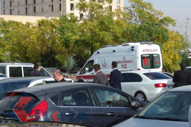 Qeymeqamê Dêrikê sewqî Dîlokê hat kirin