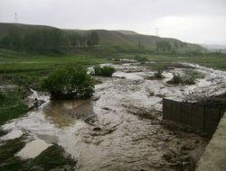 Kuzey Kore'de Sel: 170 Ölü
