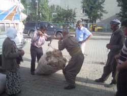 Koçerlerin Yün Satışları Başladı