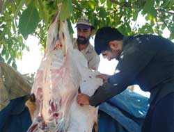 Yeni İhya Der'in Ramazan Yardımları Sürüyor