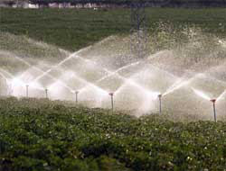 Sulama Ekipmanları Destek Başvurusu Başladı