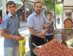 Yeşil Fıstık Tezgahta Yerini Aldı