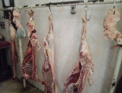 Kasapların Yüzü Gülüyor