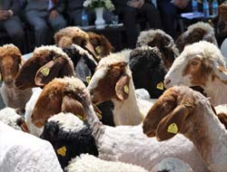 Tarımsal Yayım ve Danışmanlık Desteklemesi'ne Rekor Başvuru