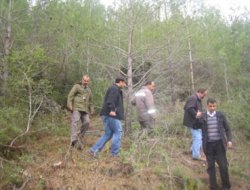 Meşcere Bakımları Devam Ediyor