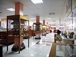 İstanbul Üniversitesi  Jeoloji Müzesi açıldı