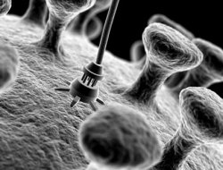 Nano-Teknolojik Diş!