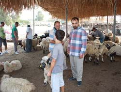 Ramazan'da Adaklık Kurban Satışları Artıyor