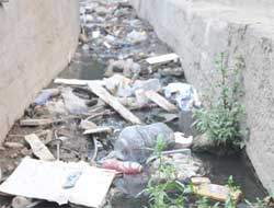 Mahalle Ortasından Geçen Dere Tehlike Saçıyor