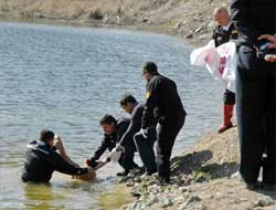 Serinlemek İçin Girdiği Gölden Çıkamadı