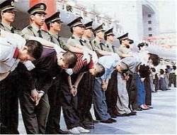 Zulma Çîn Berdewam e