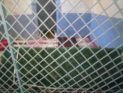 Ramazan Ayında Sahabe Kabrine Ziyaretler Arttı