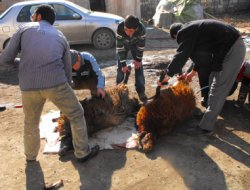 30 Aileye Et Yardımı