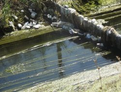 Bataklık Gibi Su Kanalı
