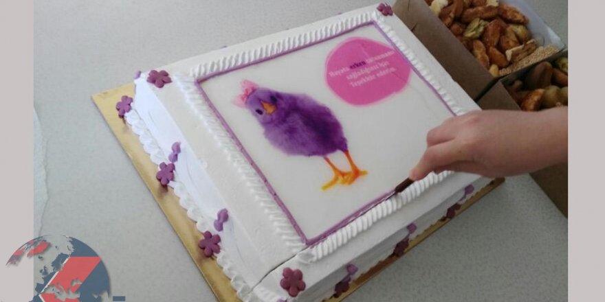 Diyarbakır’da ‘Prematüre Bebek Günü’ etkinliği