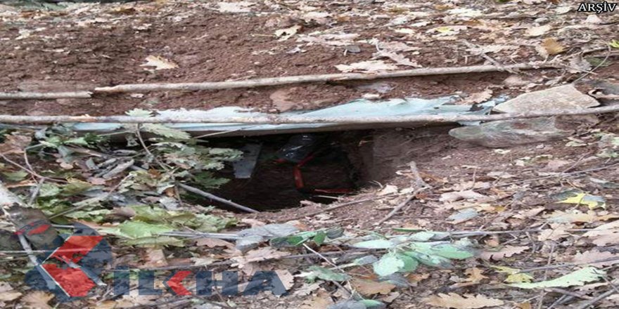 Bitlis’te 11 barınak imha edildi