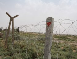 Suriye'den Kaçan 17 Kişi Nusaybin'e Geldi