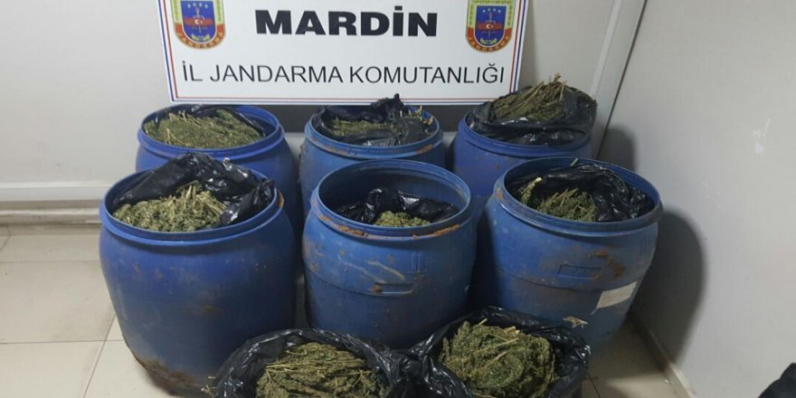 Mardin’de esrar baskını: 2 gözaltı
