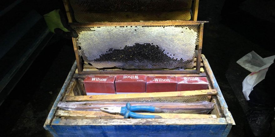 Arı kovanları içinde kaçak sigara ele geçirildi