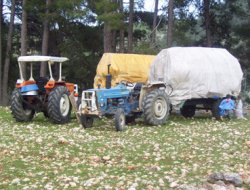 Yörüklerin Yayladan Göçü Başladı