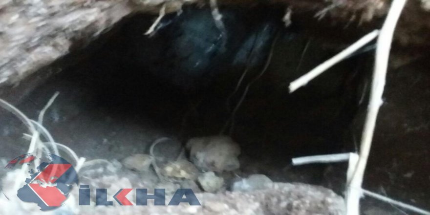 200 kîlo teqemenî hat îmhakirin