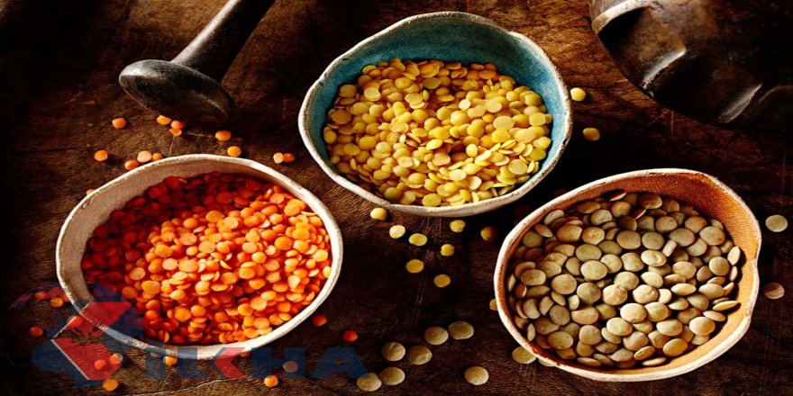 Güneydoğu'da hububat ihracatı