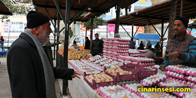 Yumurta fiyatları yaklaşık yüzde yüz arttı