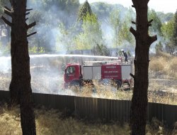 Manisa'da Korkutan Yangın