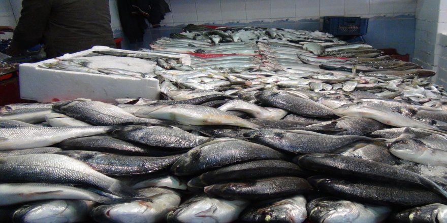 “Hamsi ve istavritin fiyatı geçen yıla göre yüksek”