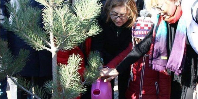 Girişimci kadınlar fidan dikti