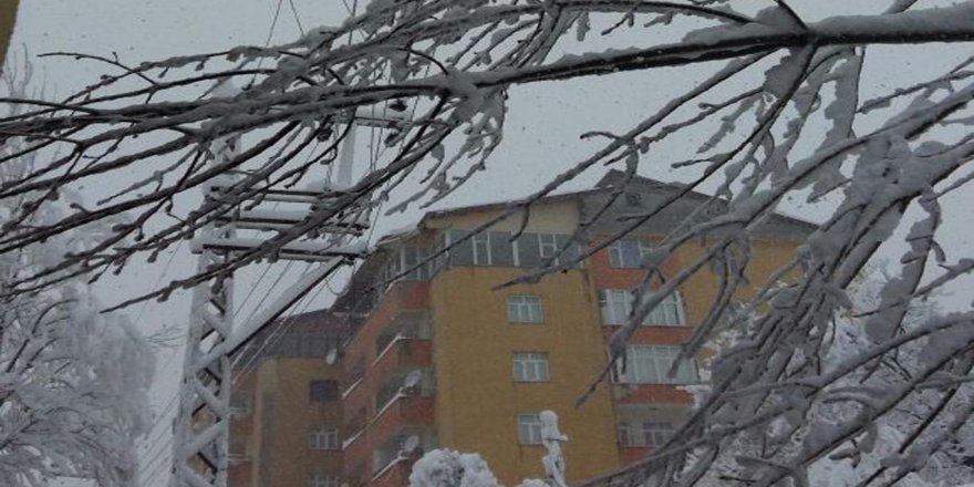 Bitlis kardan sonra karanlığa gömüldü