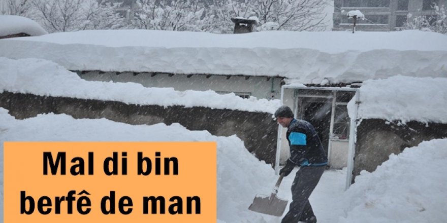 Mal di bin berfê de man