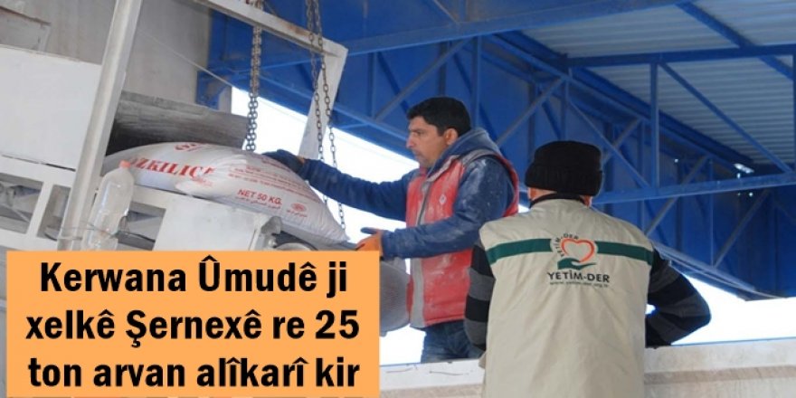 Kerwana Ûmudê ji xelkê Şernexê re 25 ton arvan alîkarî kir