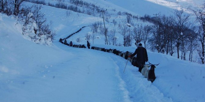 Besicilerin karla zorlu mücadelesi