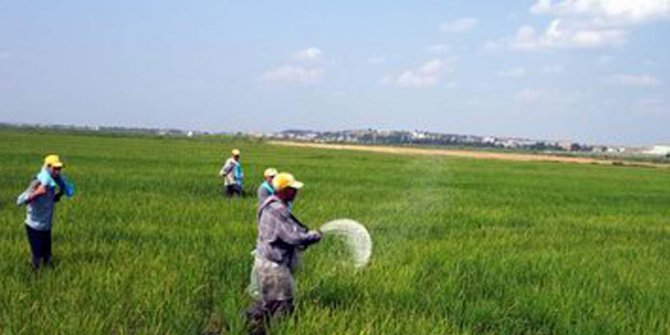 "Çiftçiler analiz doğrultusunda gübre kullanmalı"