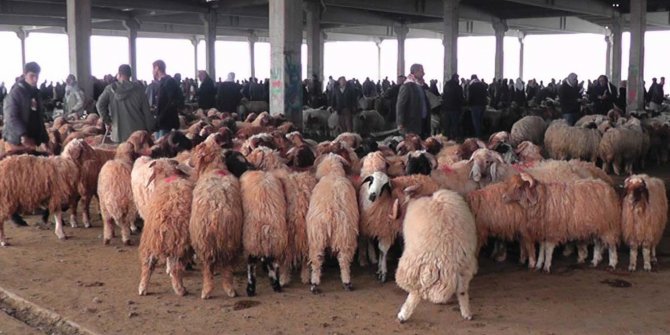 "Bölgede hayvancılığın teşvik edilmesi lazım"