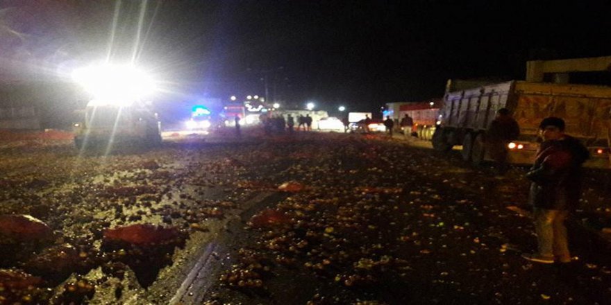 Soğan yüklü TIR devrildi