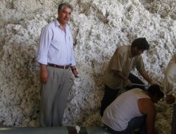 Sanayici Pamuğu Çöpe Atıyor