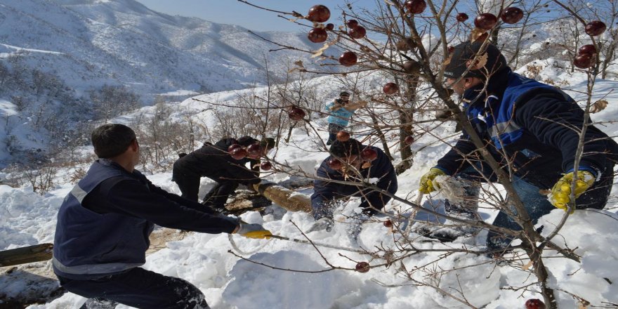 VEDAŞ’ın karla zorlu mücadelesi