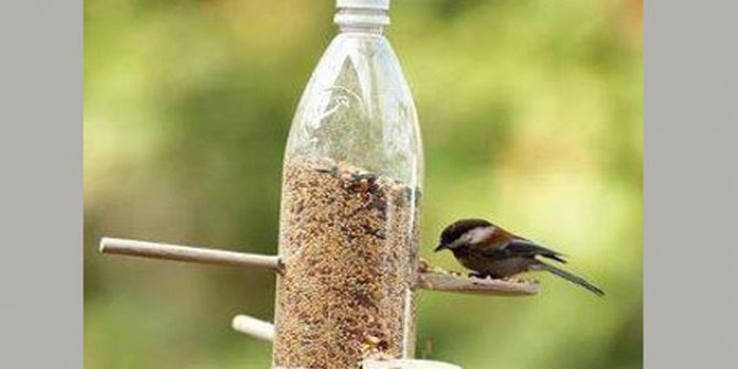 "Kış günlerinde sokak hayvanlarını unutmayalım"