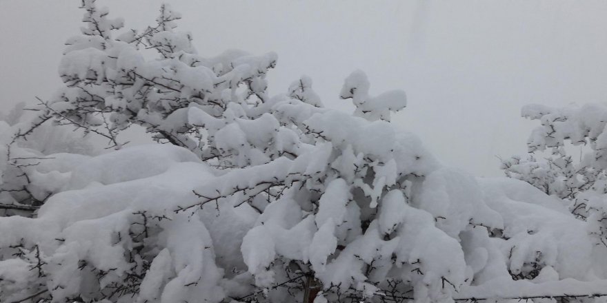 Meteoroloji'den yoğun kar yağışı uyarısı
