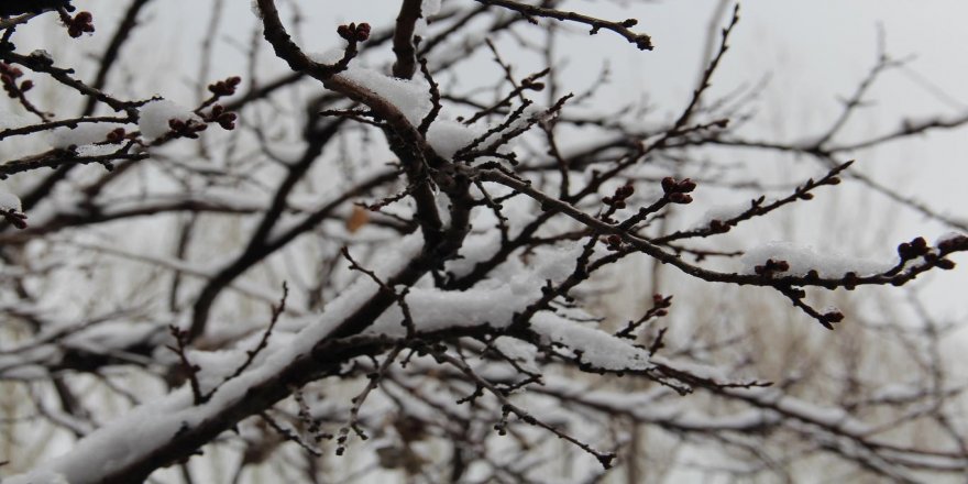 Meteorolojiden 5 il için don uyarısı