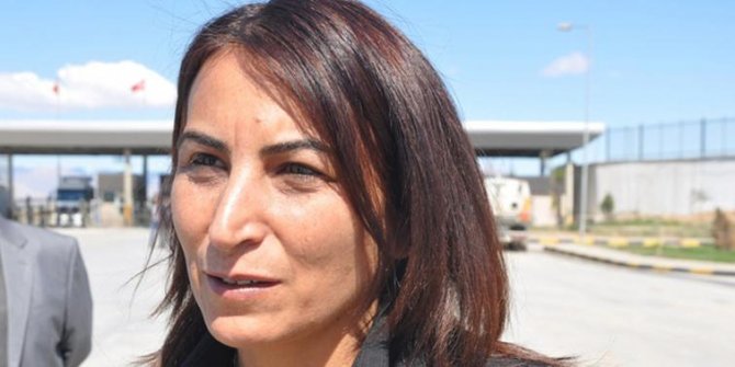 Aysel Tuğluk gözaltına alındı