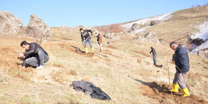 Çiftçiler yeni ürün için ceviz ekimine başladı