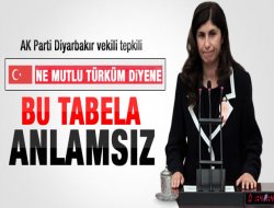 Ak Partili vekilin Diyarbakır'daki tabela tepkisi