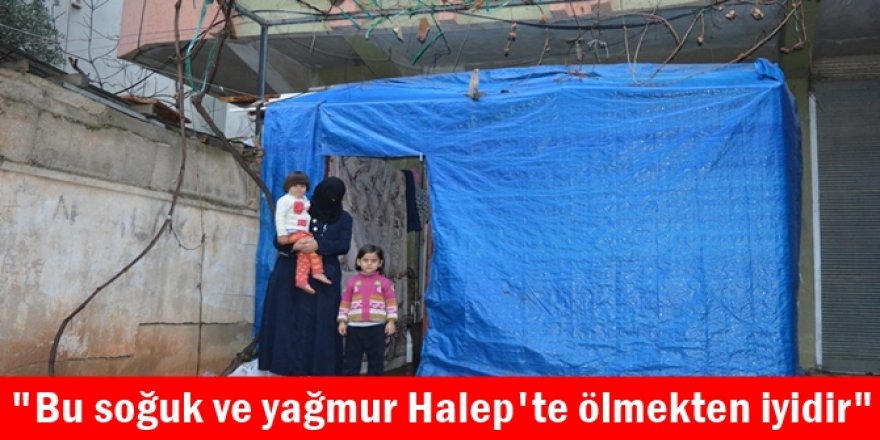 "Bu soğuk ve yağmur Halep'te ölmekten iyidir"